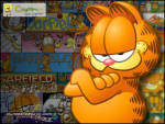 Sert Garfield - Garfield bu fotoğrafında çok sert bakmış