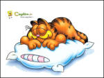 Uykucu Garfield - Garfielt uzanm yumuak yastn zerine kestiriyor