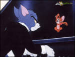 Piyano Çalan Tom Jerry - Tom çok biliyor gibi piyano çalıyor jerry ona engel oluyor