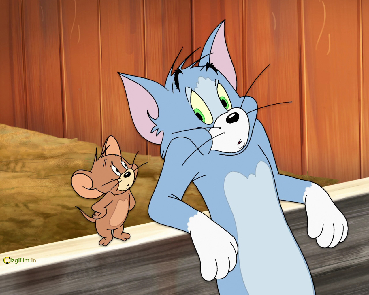 Tom ve Jerry » Tom ve Jerry ile Oz Büyücüsü - Tam boy görmek için tıklayın