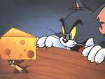Tom ve Jerry Peynir Kavgası - Tom ve jerry peynir kavgası yapıyorlar