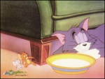 Tomun Sütü - Tom uyukluyor Jerry ve yeğeni sessizce sütünü içmeye gidiyor