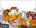 Garfield Veterinerde