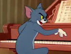 Piyanist Kedi Tom