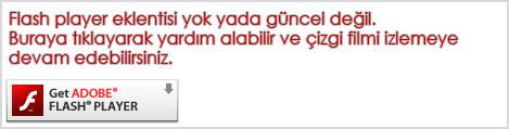 Flash player