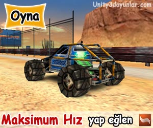 Maksimum H�z Oyunu